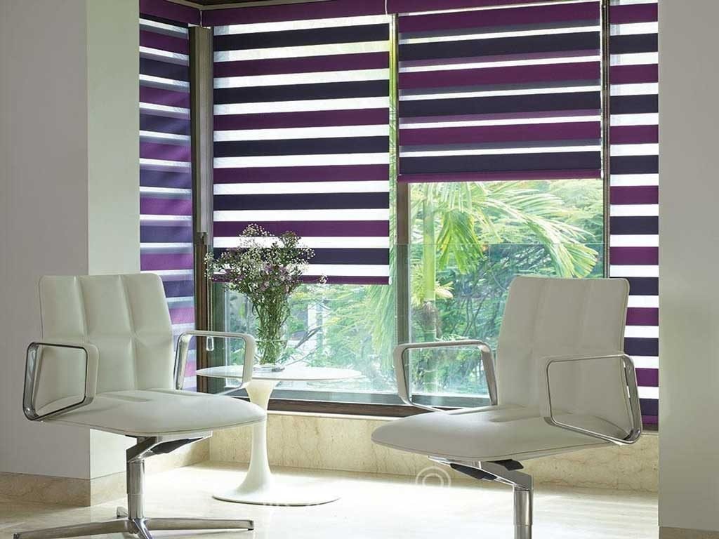 Duplex Blinds